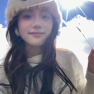 与鲨同游